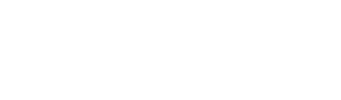 Disability Hub MN