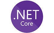 net core