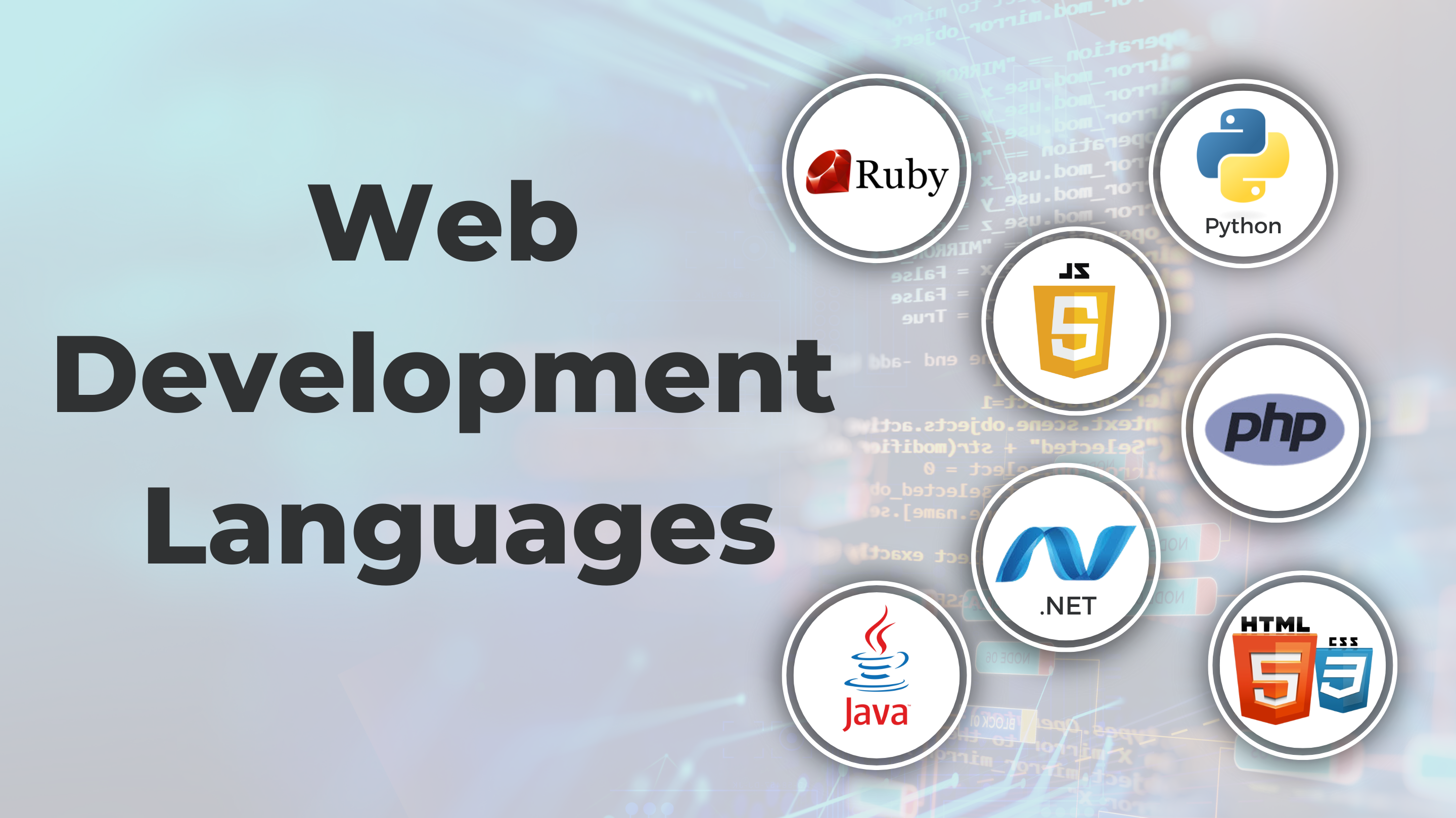 The Best Web Development Languages