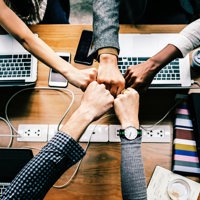 bump-collaboration-colleagues-1068523.jpg